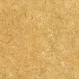 Gạch Trường Thịnh WALL TILES TT88015